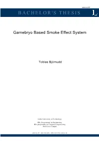 Gamebryo Based Smoke Effect System