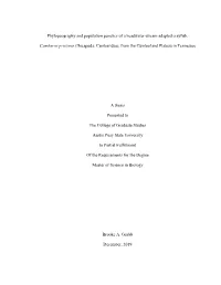 Phylogeography and Population Genetics of a Headwater-Stream Adapted Crayfish