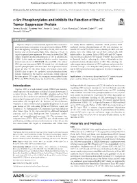 C-Src Phosphorylates and Inhibits the Function of the CIC Tumor