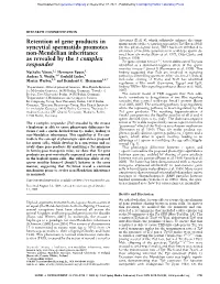 Retention of Gene Products in Syncytial Spermatids Promotes Non-Mendelian Inheritance As Revealed by the T Complex Responder