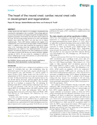 Cardiac Neural Crest Cells in Development and Regeneration Rajani M