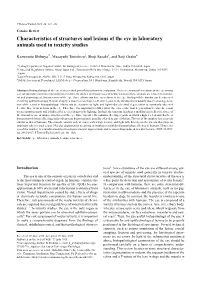 Characteristics of Structures and Lesions of the Eye in Laboratory Animals Used in Toxicity Studies