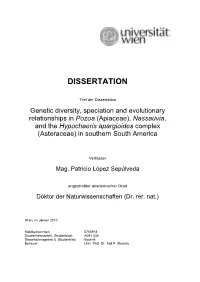 Dissertation