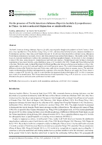 On the Presence of North American Clubmoss Huperzia Lucidula (Lycopodiaceae) in China: an Intercontinental Disjunction Or Misidentification