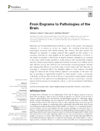 From Engrams to Pathologies of the Brain