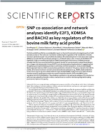SNP Co-Association and Network Analyses Identify E2F3, KDM5A And