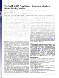 The FACT Spt16 ''Peptidase'' Domain Is a Histone H3–H4 Binding Module
