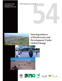 Interdependence of Biodiversity and Development Under Global Change