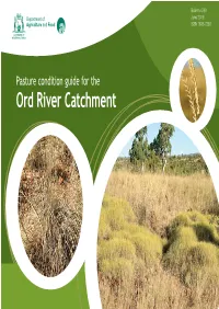 Pasture Condition Guide for the Ord River Catchment