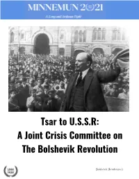 Bolshievik Revoluition Background Guide