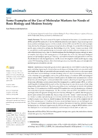 Some Examples of the Use of Molecular Markers for Needs of Basic Biology and Modern Society