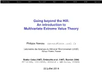Going Beyond the Hill: an Introduction to Multivariate Extreme Value Theory