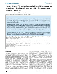 Protein Kinase D1 Maintains the Epithelial Phenotype by Inducing a DNA-Bound, Inactive SNAI1 Transcriptional Repressor Complex
