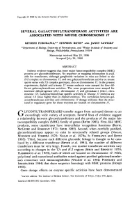 Several Galactosyltransferase Activities Are Associated with Mouse Chromosome 17