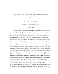 Thesis First Pages