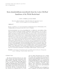 Download This PDF File