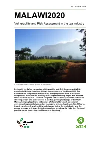 Malawi2020: Vulnerability and Risk Assessment in the Tea Industry ACKNOWLEDGEMENTS