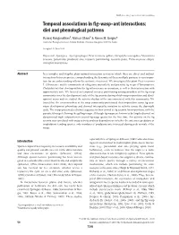 Temporal Associations in Fig–Wasp–Ant Interactions