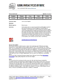 Varroa Destructor Global Invasive