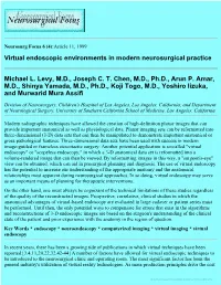 Virtual Endoscopic Environments in Modern Neurosurgical Practice