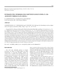 Interspecific Hybridization Between Durum Wheat and Aegilops Umbellulata (Zhuk.)