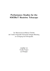 Performance Studies for the Km3net Neutrino Telescope