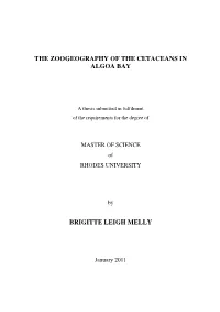 Final Msc Thesis