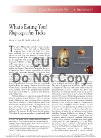Rhipicephalus Ticks