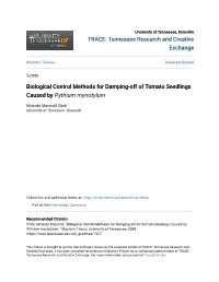 Biological Control Methods for Damping-Off of Tomato Seedlings Caused by Pythium Myriotylum