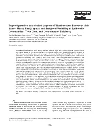 (Culbin Sands, Moray Firth): Spatial and Temporal