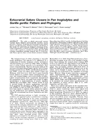 Ectocranial Suture Closure in Pan Troglodytes and Gorilla Gorilla: Pattern and Phylogeny James Cray Jr.,1* Richard S