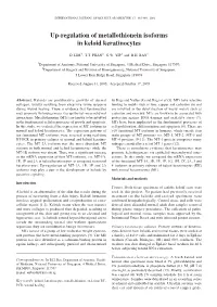 Up-Regulation of Metallothionein Isoforms in Keloid Keratinocytes