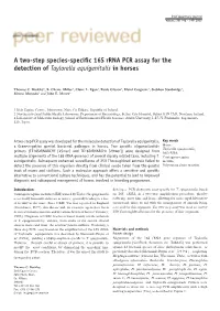 A Two-Step Species-Specific 16S Rrna PCR Assay for the Detection Of