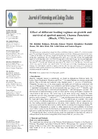 Effect of Different Feeding Regimes on Growth and Survival of Spotted