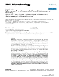 Spherezymes: a Novel Structured Self-Immobilisation Enzyme