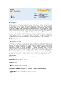 TAP1 Antibody Order 021-34695924 Orders@Ab-Mart.Com Support 400-6123-828 50Ul Support1@Ab-Mart.Com 100 Ul √ √ Web