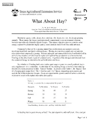 What About Hay?
