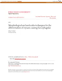 Morphological and Molecular Techniques for the Differentiation of Myiasis-Causing Sarcophagidae Jeffery T