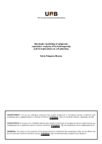 Stochastic Modelling of Epigenetic Regulation: Analysis of Its Heterogeneity and Its Implications in Cell Plasticity