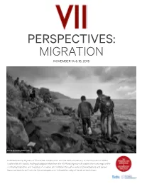Vii-Migration-Program Copy 3