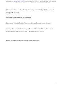 A Bacterial Display System for Effective Selection of Protein-Biotin Ligase Bira Variants with Novel Peptide Specificity