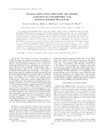 Clonal Population Structure and Genetic Variation in Sand-Shinnery Oak, Quercus Havardii (Fagaceae)1