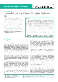 Lignocellulolytic Capability of Endophytic Phyllosticta Sp