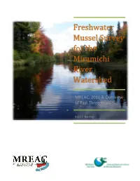 MREAC, 2010 & Overview of Past Three Years