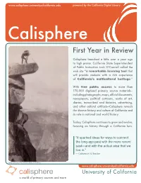 First Year in Review