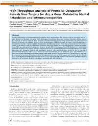 High-Throughput Analysis of Promoter Occupancy Reveals New Targets for Arx, a Gene Mutated in Mental Retardation and Interneuronopathies
