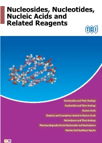 Nucleosides, Nucleotides, Nucleic Acids and Related Reagents