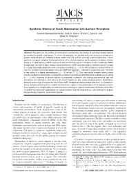 Synthetic Mimics of Small Mammalian Cell Surface Receptors Siwarutt Boonyarattanakalin, Scott E