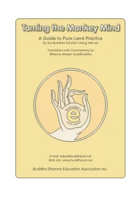 Taming the Monkey Mind