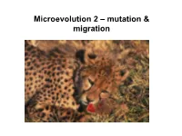 Microevolution 2 – Mutation & Migration